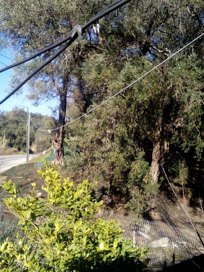 Villa Kastri Chorepiskopoi Dış mekan fotoğraf